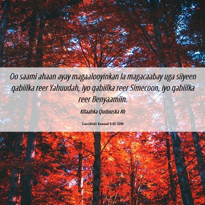 Picture 06 - Taariikhdii Kowaad 6:65 SOM - Oo saami ahaan ayay magaalooyinkan la magacaabay - Bible Verse Picture