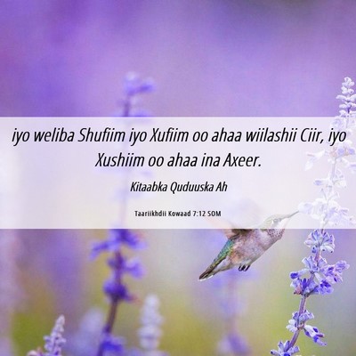Picture 06 - Taariikhdii Kowaad 7:12 SOM - iyo weliba Shufiim iyo Xufiim oo ahaa wiilashii - Bible Verse Picture