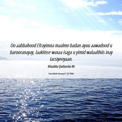 Picture 06 - Taariikhdii Kowaad 7:22 SOM - Oo aabbahood Efrayimna maalmo badan ayuu aawadood - Bible Verse Picture