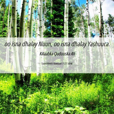 Picture 06 - Taariikhdii Kowaad 7:27 SOM - oo isna dhalay Nuun, oo isna dhalay - Bible Verse Picture