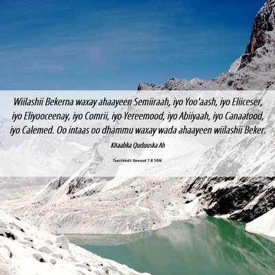 Picture 06 - Taariikhdii Kowaad 7:8 SOM - Wiilashii Bekerna waxay ahaayeen Semiiraah, iyo - Bible Verse Picture