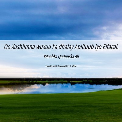 Picture 06 - Taariikhdii Kowaad 8:11 SOM - Oo Xushiimna wuxuu ka dhalay Abiituub iyo - Bible Verse Picture