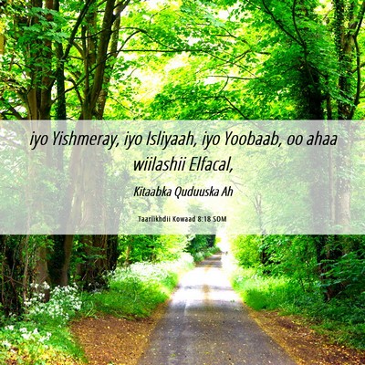 Picture 06 - Taariikhdii Kowaad 8:18 SOM - iyo Yishmeray, iyo Isliyaah, iyo Yoobaab, oo ahaa - Bible Verse Picture
