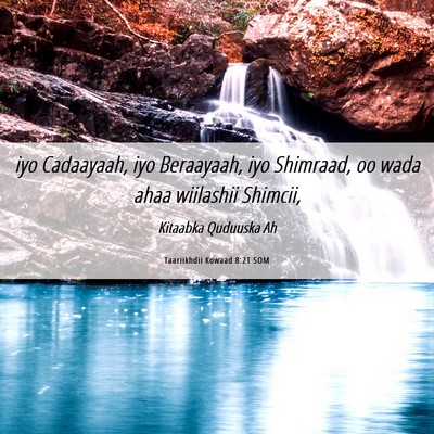 Picture 06 - Taariikhdii Kowaad 8:21 SOM - iyo Cadaayaah, iyo Beraayaah, iyo Shimraad, oo - Bible Verse Picture