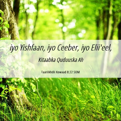 Picture 06 - Taariikhdii Kowaad 8:22 SOM - iyo Yishfaan, iyo Ceeber, iyo - Bible Verse Picture