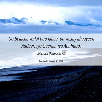 Picture 06 - Taariikhdii Kowaad 8:3 SOM - Oo Belacna wiilal buu lahaa, oo waxay ahaayeen - Bible Verse Picture