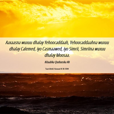 Picture 06 - Taariikhdii Kowaad 8:36 SOM - Aaxaasna wuxuu dhalay Yehoocaddaah, - Bible Verse Picture