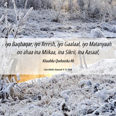 Picture 06 - Taariikhdii Kowaad 9:15 SOM - iyo Baqbaqar, iyo Xeresh, iyo Gaalaal, iyo - Bible Verse Picture