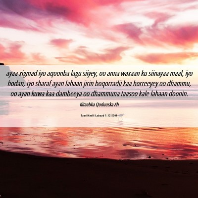 Picture 06 - Taariikhdii Labaad 1:12 SOM - ayaa xigmad iyo aqoonba lagu siiyey, oo anna - Bible Verse Picture