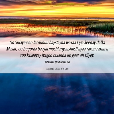 Picture 06 - Taariikhdii Labaad 1:16 SOM - Oo Sulaymaan farduhuu haystayna waxaa laga keenay - Bible Verse Picture