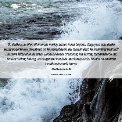 Picture 06 - Taariikhdii Labaad 10:16 SOM - Oo dadkii Israa'iil oo dhammuna markay arkeen - Bible Verse Picture