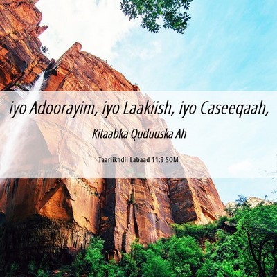 Picture 06 - Taariikhdii Labaad 11:9 SOM - iyo Adoorayim, iyo Laakiish, iyo - Bible Verse Picture