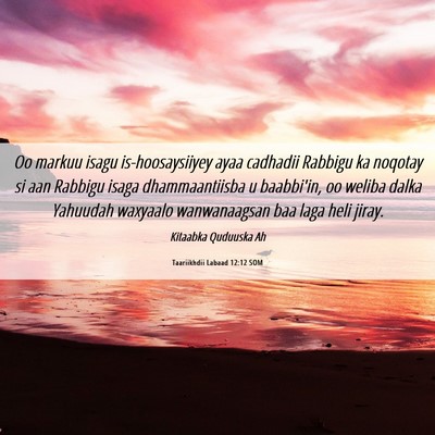 Picture 06 - Taariikhdii Labaad 12:12 SOM - Oo markuu isagu is-hoosaysiiyey ayaa cadhadii - Bible Verse Picture
