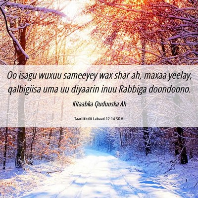 Picture 06 - Taariikhdii Labaad 12:14 SOM - Oo isagu wuxuu sameeyey wax shar ah, maxaa - Bible Verse Picture