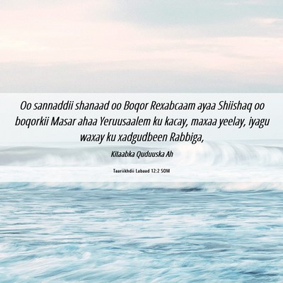 Picture 06 - Taariikhdii Labaad 12:2 SOM - Oo sannaddii shanaad oo Boqor Rexabcaam ayaa - Bible Verse Picture