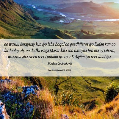 Picture 06 - Taariikhdii Labaad 12:3 SOM - oo wuxuu kaxaystay kun iyo laba boqol oo - Bible Verse Picture