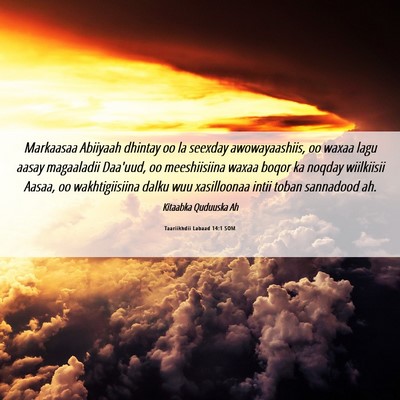 Picture 06 - Taariikhdii Labaad 14:1 SOM - Markaasaa Abiiyaah dhintay oo la seexday - Bible Verse Picture
