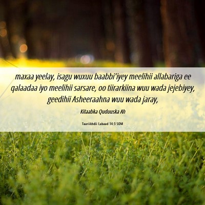 Picture 06 - Taariikhdii Labaad 14:3 SOM - maxaa yeelay, isagu wuxuu baabbi'iyey meelihii - Bible Verse Picture