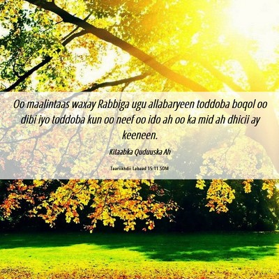 Picture 06 - Taariikhdii Labaad 15:11 SOM - Oo maalintaas waxay Rabbiga ugu allabaryeen - Bible Verse Picture