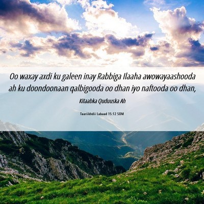 Picture 06 - Taariikhdii Labaad 15:12 SOM - Oo waxay axdi ku galeen inay Rabbiga Ilaaha - Bible Verse Picture