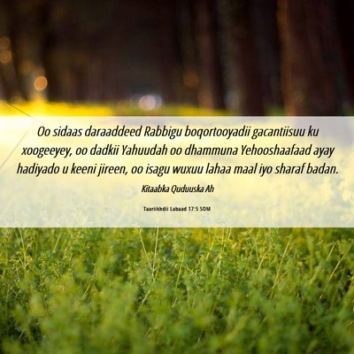 Picture 06 - Taariikhdii Labaad 17:5 SOM - Oo sidaas daraaddeed Rabbigu boqortooyadii - Bible Verse Picture