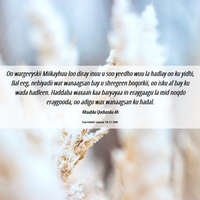 Picture 06 - Taariikhdii Labaad 18:12 SOM - Oo wargeeyskii Miikayhuu loo diray inuu u soo - Bible Verse Picture