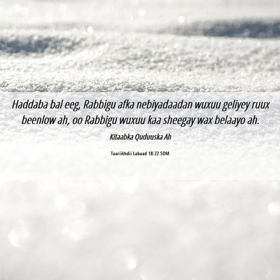 Picture 06 - Taariikhdii Labaad 18:22 SOM - Haddaba bal eeg, Rabbigu afka nebiyadaadan wuxuu - Bible Verse Picture