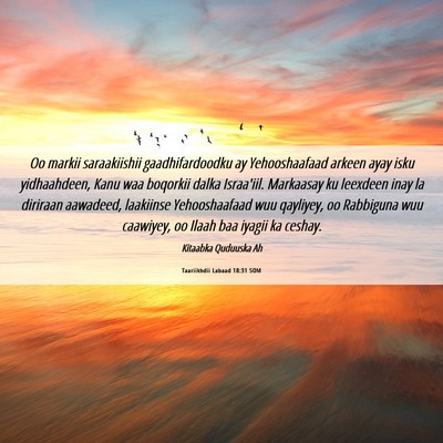 Picture 06 - Taariikhdii Labaad 18:31 SOM - Oo markii saraakiishii gaadhifardoodku ay - Bible Verse Picture