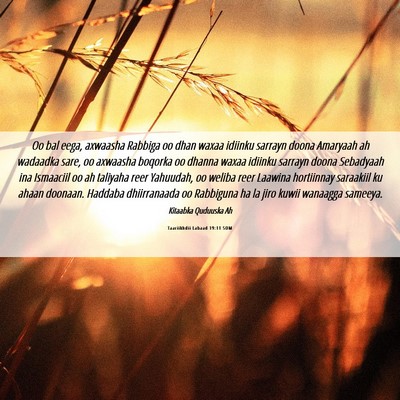 Picture 06 - Taariikhdii Labaad 19:11 SOM - Oo bal eega, axwaasha Rabbiga oo dhan waxaa - Bible Verse Picture