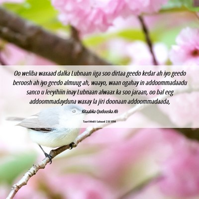 Picture 06 - Taariikhdii Labaad 2:8 SOM - Oo weliba waxaad dalka Lubnaan iiga soo dirtaa - Bible Verse Picture