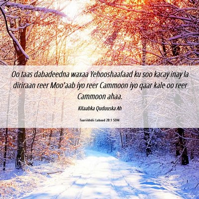 Picture 06 - Taariikhdii Labaad 20:1 SOM - Oo taas dabadeedna waxaa Yehooshaafaad ku soo - Bible Verse Picture