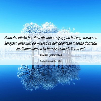 Picture 06 - Taariikhdii Labaad 20:16 SOM - Haddaba idinku berrito u dhaadhaca iyaga, oo bal - Bible Verse Picture