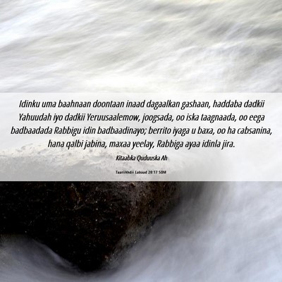 Picture 06 - Taariikhdii Labaad 20:17 SOM - Idinku uma baahnaan doontaan inaad dagaalkan - Bible Verse Picture