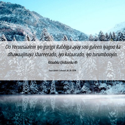 Picture 06 - Taariikhdii Labaad 20:28 SOM - Oo Yeruusaalem iyo gurigii Rabbiga ayay soo - Bible Verse Picture