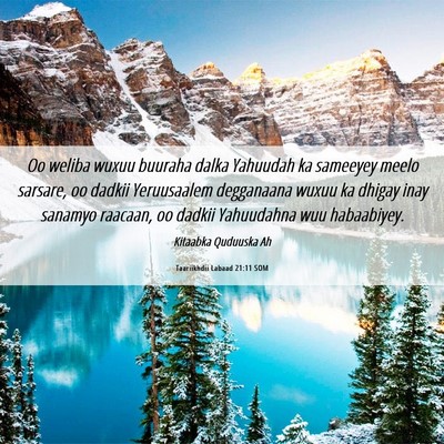 Picture 06 - Taariikhdii Labaad 21:11 SOM - Oo weliba wuxuu buuraha dalka Yahuudah ka - Bible Verse Picture