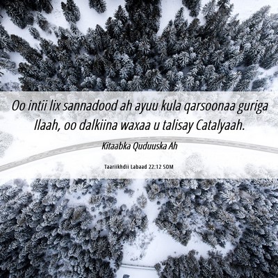 Picture 06 - Taariikhdii Labaad 22:12 SOM - Oo intii lix sannadood ah ayuu kula qarsoonaa - Bible Verse Picture