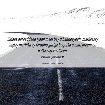 Picture 06 - Taariikhdii Labaad 23:15 SOM - Sidaas daraaddeed iyadii meel bay u banneeyeen, - Bible Verse Picture