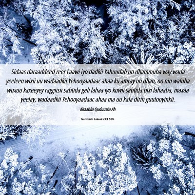 Picture 06 - Taariikhdii Labaad 23:8 SOM - Sidaas daraaddeed reer Laawi iyo dadkii Yahuudah - Bible Verse Picture