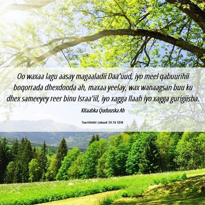Picture 06 - Taariikhdii Labaad 24:16 SOM - Oo waxaa lagu aasay magaaladii Daa'uud, iyo meel - Bible Verse Picture