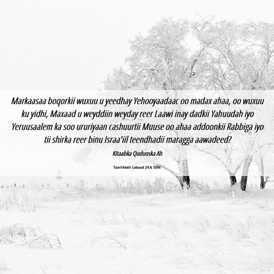 Picture 06 - Taariikhdii Labaad 24:6 SOM - Markaasaa boqorkii wuxuu u yeedhay Yehooyaadaac - Bible Verse Picture