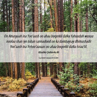 Picture 06 - Taariikhdii Labaad 25:25 SOM - Oo Amasyaah ina Yoo'aash oo ahaa boqorkii dalka - Bible Verse Picture