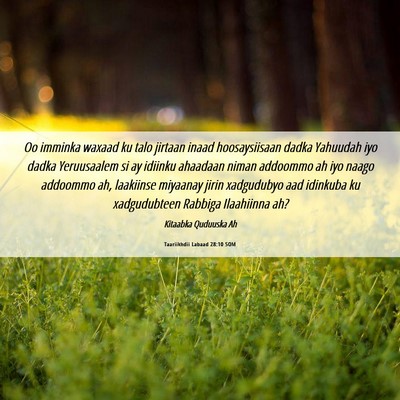 Picture 06 - Taariikhdii Labaad 28:10 SOM - Oo imminka waxaad ku talo jirtaan inaad - Bible Verse Picture