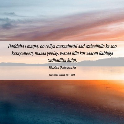 Picture 06 - Taariikhdii Labaad 28:11 SOM - Haddaba i maqla, oo celiya maxaabiistii aad - Bible Verse Picture