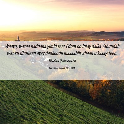 Picture 06 - Taariikhdii Labaad 28:17 SOM - Waayo, waxaa haddana yimid reer Edom oo intay - Bible Verse Picture