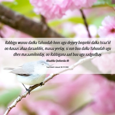 Picture 06 - Taariikhdii Labaad 28:19 SOM - Rabbigu wuxuu dadka Yahuudah hoos ugu dejiyey - Bible Verse Picture