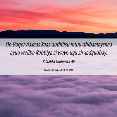 Picture 06 - Taariikhdii Labaad 28:22 SOM - Oo Boqor Aaxaas kaas qudhiisu intuu dhibaataysnaa - Bible Verse Picture