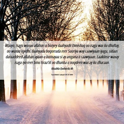 Picture 06 - Taariikhdii Labaad 28:23 SOM - Waayo, isagu wuxuu allabari u bixiyey ilaahyadii - Bible Verse Picture