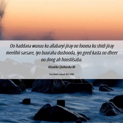 Picture 06 - Taariikhdii Labaad 28:4 SOM - Oo haddana wuxuu ku allabaryi jiray oo fooxna ku - Bible Verse Picture