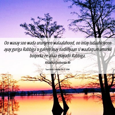 Picture 06 - Taariikhdii Labaad 29:15 SOM - Oo waxay soo wada ururiyeen walaalahood, oo intay - Bible Verse Picture