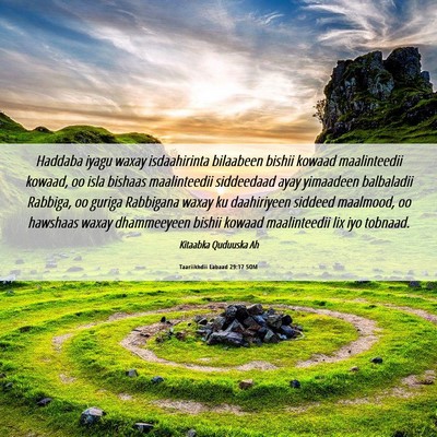 Picture 06 - Taariikhdii Labaad 29:17 SOM - Haddaba iyagu waxay isdaahirinta bilaabeen bishii - Bible Verse Picture